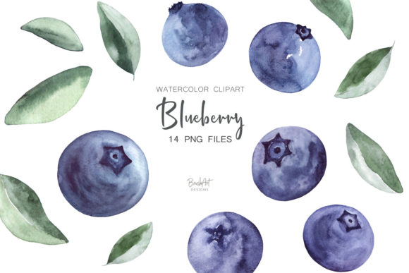 Download Blueberries Watercolor Clipart - Color Collection