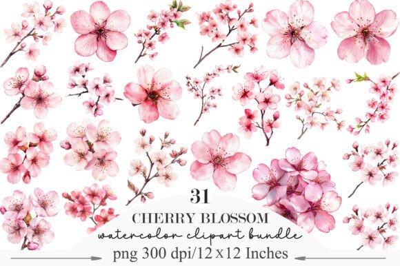Download Watercolor Cherry Blossom Clipart - Color Collection
