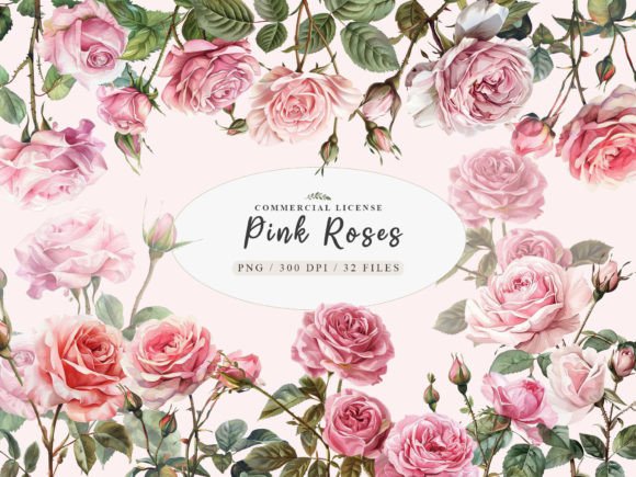 Download Watercolor Pink Rose Clipart, Blush Rose - Color Collection