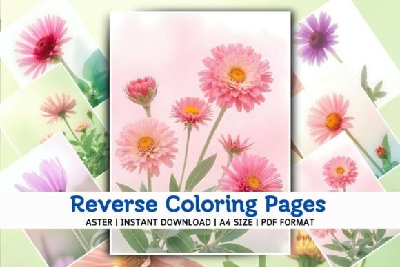 Download Aster Flower Reverse Coloring Pages - Color Collection