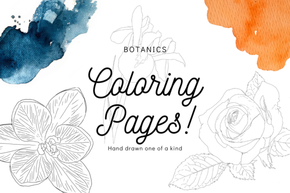 Download Botanic Florals Line Art Coloring Pages - Color Collection